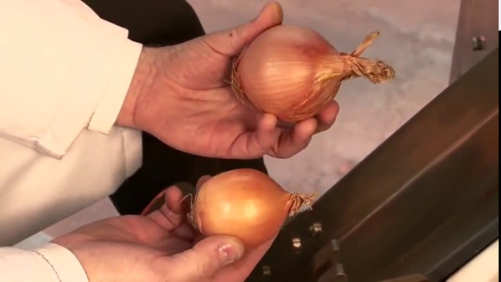 Onion peeler - PL series - Metos