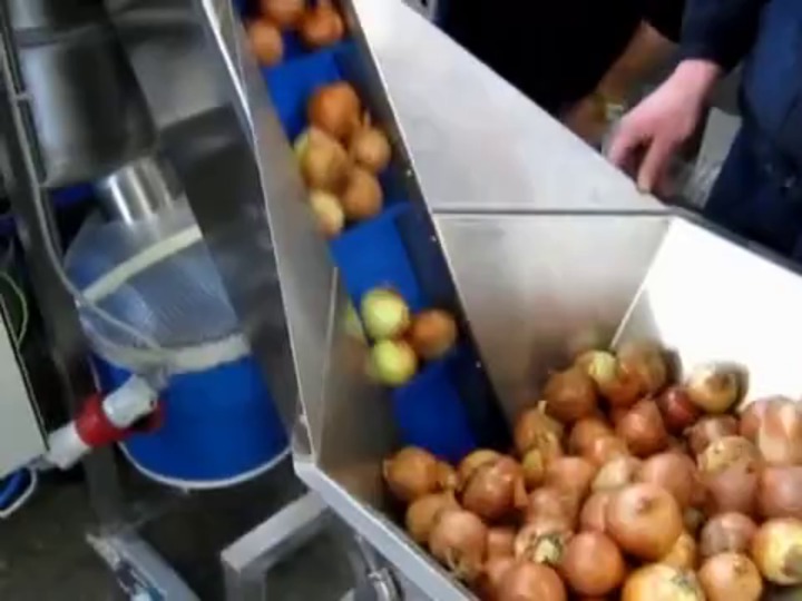 Automatic Garlic, Onion Peeling Machine - TechGarden