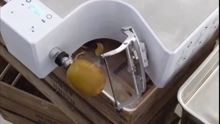 Pineapple peeling machine - KA-720P - ASTRA - knife / fully-automatic /  stainless steel